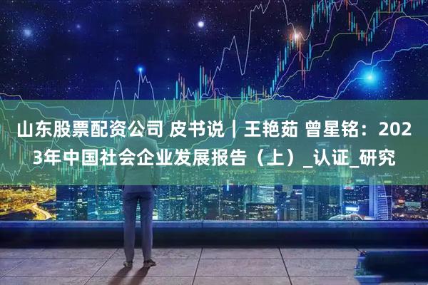 山东股票配资公司 皮书说｜王艳茹 曾星铭：2023年中国社会企业发展报告（上）_认证_研究