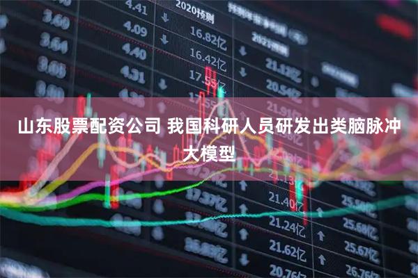 山东股票配资公司 我国科研人员研发出类脑脉冲大模型