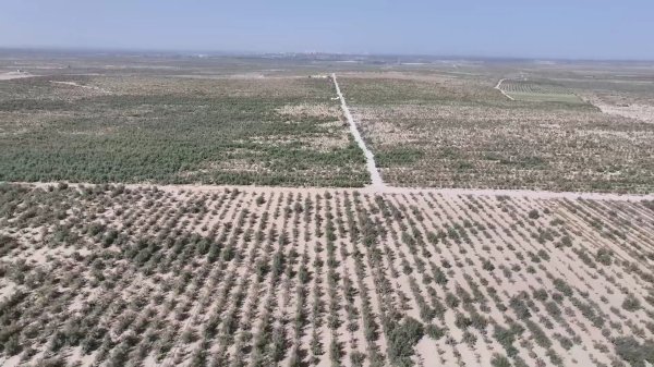 线上股票配资门户 新华视点｜山河新貌：多地实践探索绿色发展